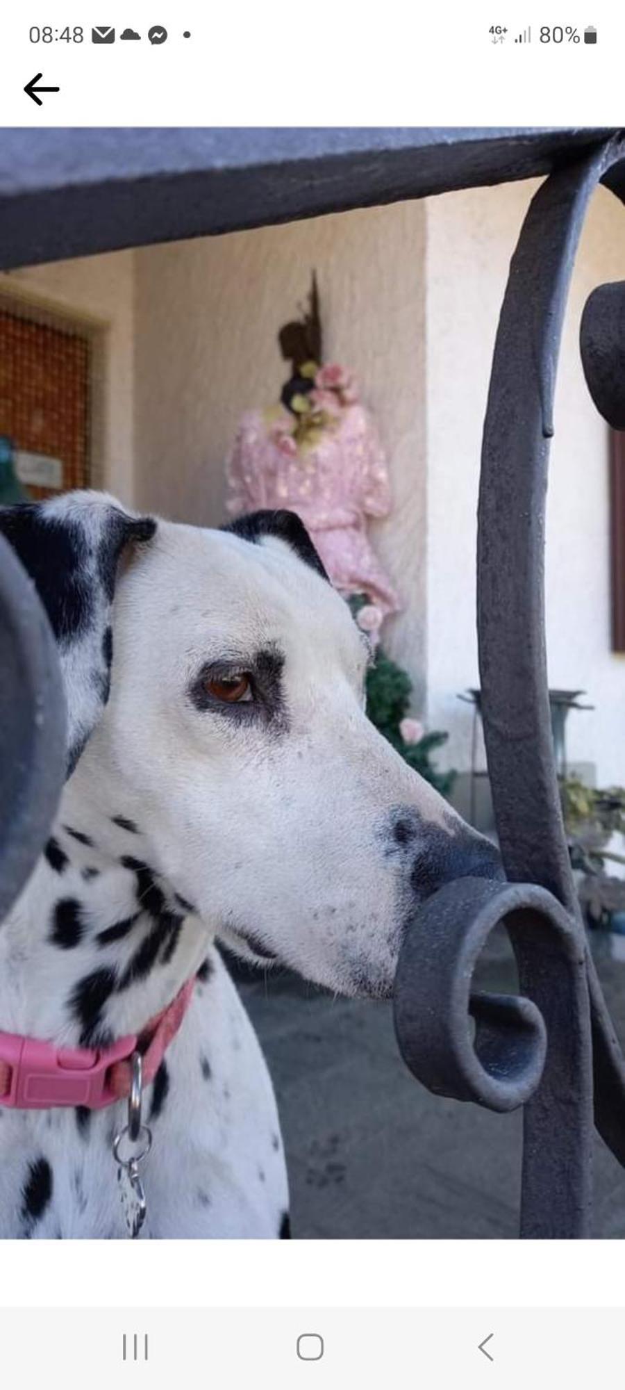 B&B La Gerbolina San Giusto Canavese Zewnętrze zdjęcie