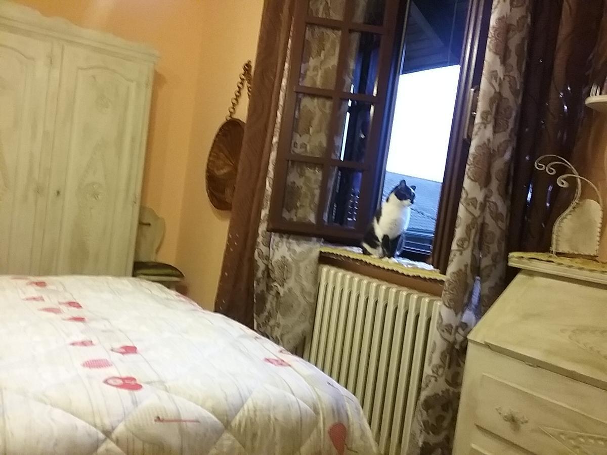 B&B La Gerbolina San Giusto Canavese Zewnętrze zdjęcie